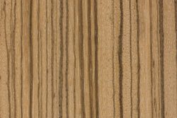 Zebrawood